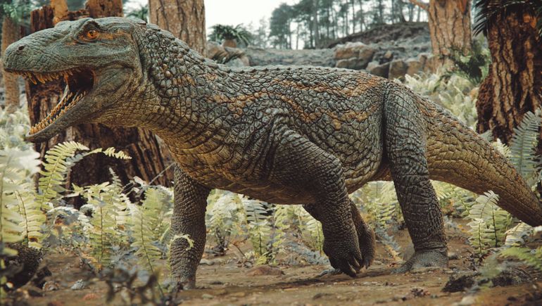 El “Tainrakuasuchus bellator” hallado en Brasil es un antepasado directo de los cocodrilos modernos