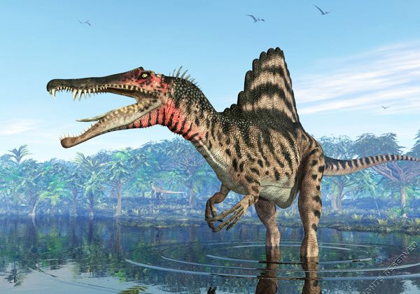 Spinosaurus: el dinosaurio gigante que podía nadar