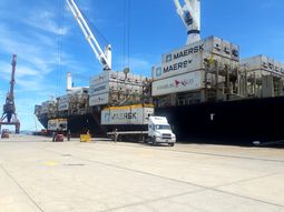 Las exportaciones por el puerto de SAE siguen en caída en la presente temporada. Las exportaciones por el puerto de SAE siguen en caída en la presente temporada.