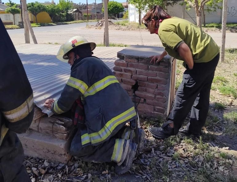 Inspectores y bomberos controlando las fugas de gas en el medidor de un frigorífico de Centenario. La denuncia hablaba de malos olores y la posibilidad de una fuga de amoniaco. Inspectores y bomberos controlando las fugas de gas en el medidor de un frigorífico de Centenario. La denuncia hablaba de malos olores y la posibilidad de una fuga de amoniaco.