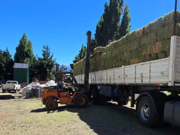 Llega ayuda para los productores afectados. Fuente: Río Negro