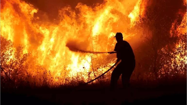 Incendios sin control en Europa: la advertencia de la ONU