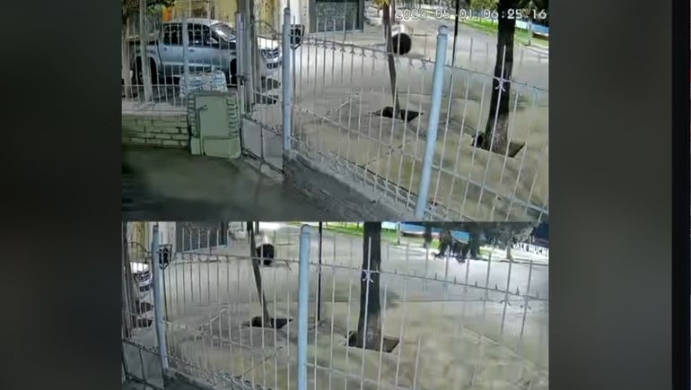 Insólita escena en el oeste neuquino: se robaron un tanque de agua y lo arrastraron por la calle
