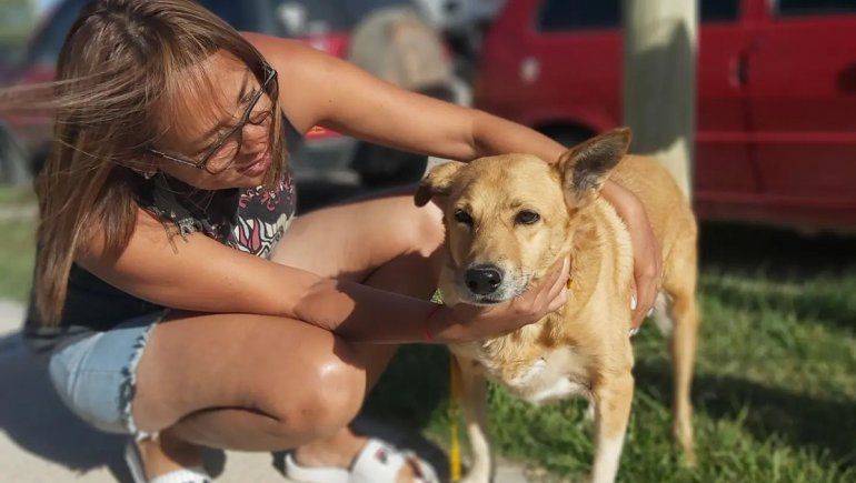 Una nueva historia de adopción en la perrera conmueve a los cipoleños