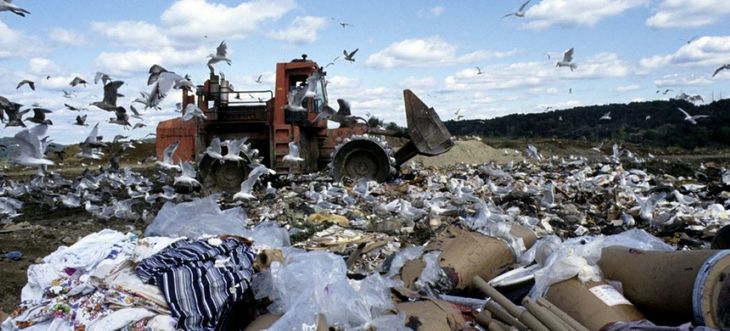En muchas partes del mundo miles de toneladas diarias de alimentos terminan en vertederos. En muchas partes del mundo miles de toneladas diarias de alimentos terminan en vertederos.
