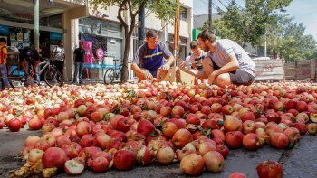 productores repartiran 3500 kilos de manzanas productores repartiran 3500 kilos de manzanas