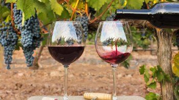 subio el consumo de alcohol en cuarentena, las explicaciones subio el consumo de alcohol en cuarentena, las explicaciones