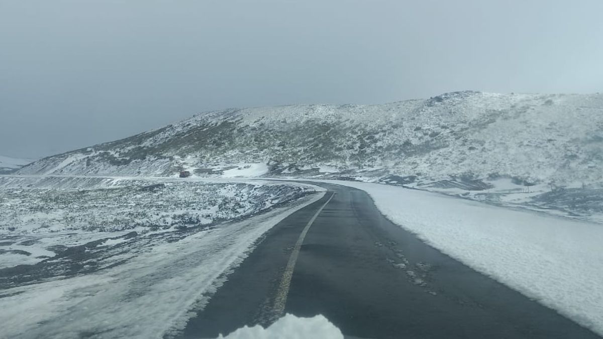 The snowfall returned and the Pino Hachado International Pass had to close