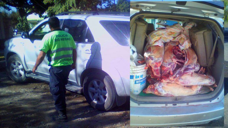 Decomisaron 20 chivitos faenados, sin cadena de frío, que iban a vender en Roca