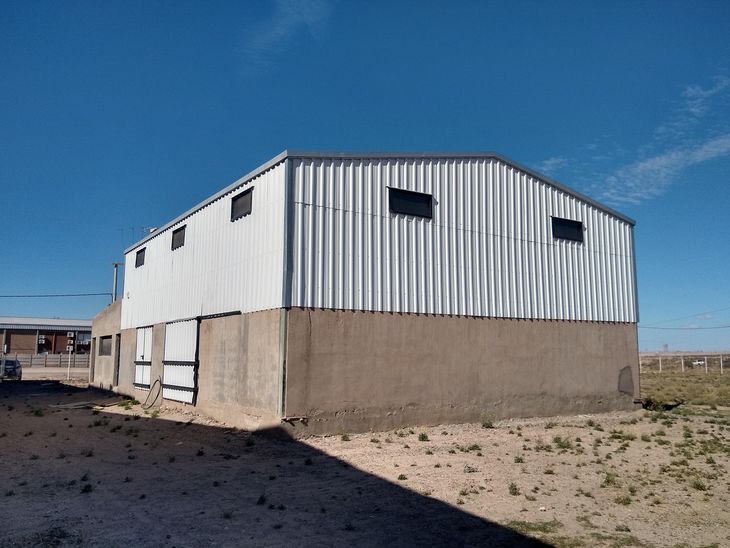 "Es una planta nueva que tiene 450 muertos cuadrados, la idea es trabajar casi el 70% con energía sustentable, con paneles solares". Foto: gentileza Arytza. "Es una planta nueva que tiene 450 muertos cuadrados, la idea es trabajar casi el 70% con energía sustentable, con paneles solares". Foto: gentileza Arytza.