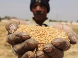 Inversiones millonarias, producción de soja y control de la cadena alimentaria marcan la nueva estrategia de Beijing en el continente africano.