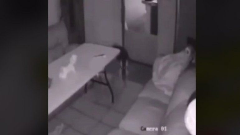 El video asusta a todos en TikTok