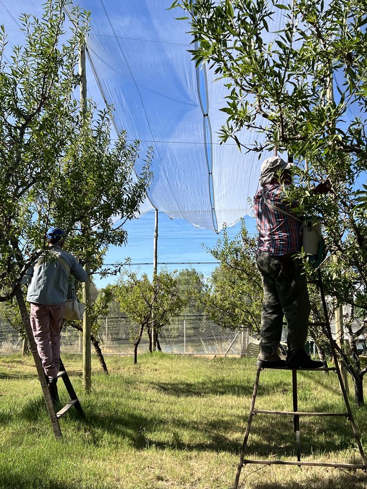 La magia del trabajo en equipo. Foto: gentileza Tere Peláez. La magia del trabajo en equipo. Foto: gentileza Tere Peláez.