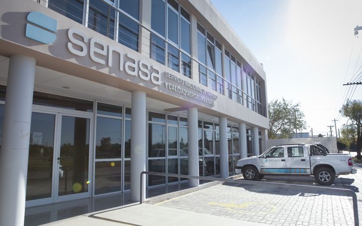 Tras casi diez meses de controles y monitoreos, el SENASA confirm&oacute; la erradicaci&oacute;n de la plaga en un &aacute;rea productiva de Tupungato.