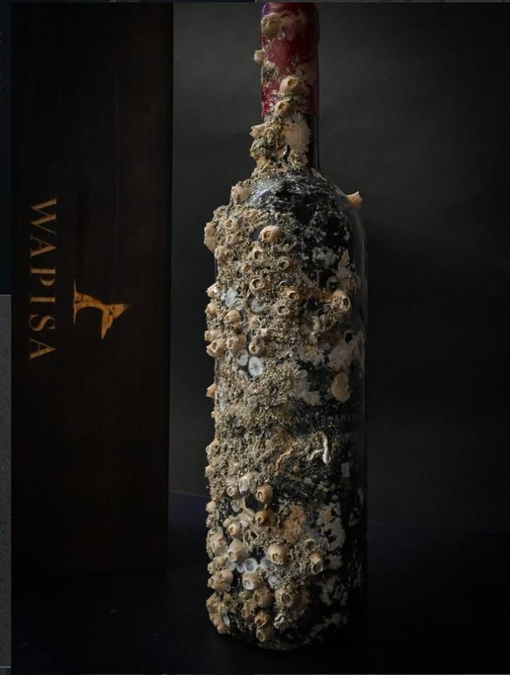 Botellas selladas con lacre reposaron seis meses a 10 metros de profundidad en el golfo San Matías. Foto: @wapisa