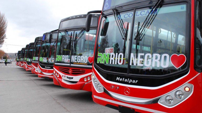 La empresa presentó ayer la primera tanda de nuevos colectivos.