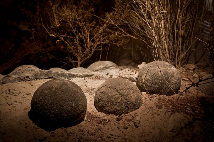 El sorprendente hallazgo es el que llevó a la Familia Schroeder a bautizar El sorprendente hallazgo es el que llevó a la Familia Schroeder a bautizar