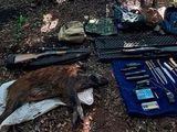 Atraparon a cazadores en un Parque Nacional: mataron jabalíes