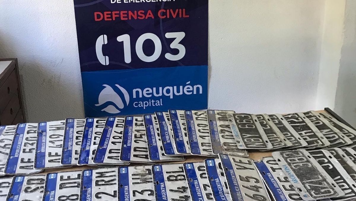 La tormenta se llevó más de 100 patentes y buscan a sus dueños