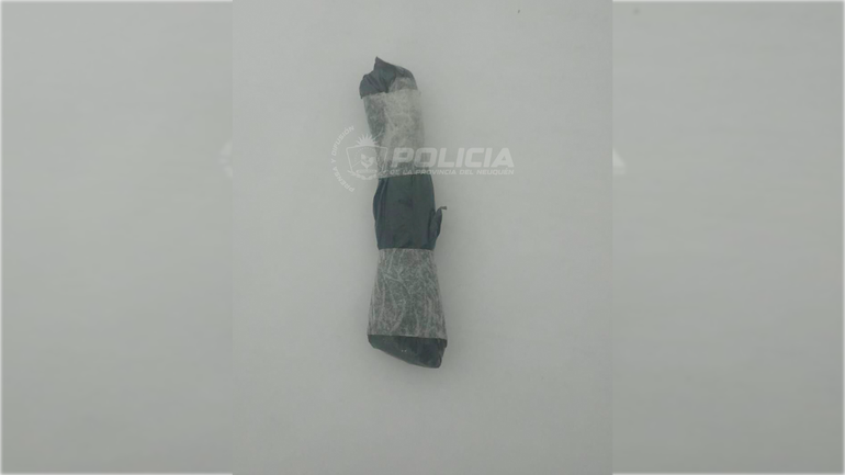 El ingreso de droga resultó frustrado por la policía.