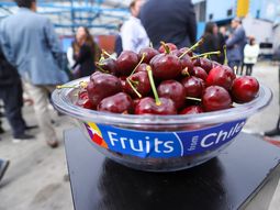 Las cerezas chilenas enfrentan un importante desafío. Las cerezas chilenas enfrentan un importante desafío.