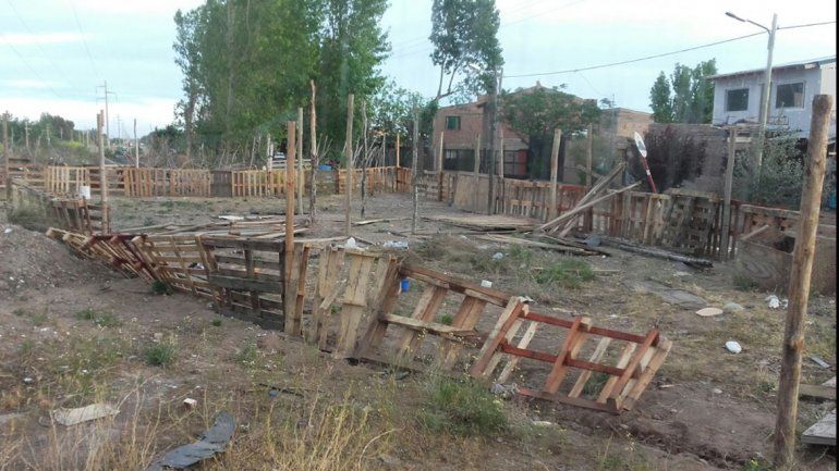Noche violenta: cinco detenidos tras atacar a botellazos a policía en un intento de toma