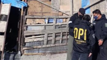 La brutal pelea que derivó en un aparente fratricidio ocurrió pasadas las 3 de la mañnaa del domingo en una casa del Barrio Bustamante, en Comodoro Rivadavia. La brutal pelea que derivó en un aparente fratricidio ocurrió pasadas las 3 de la mañnaa del domingo en una casa del Barrio Bustamante, en Comodoro Rivadavia.