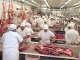 Se espera, a partir de octubre, un menor nivel de faena.