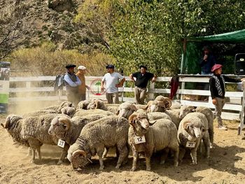 Las autoridades recomendaron apuntar a la calidad en vez de a la cantidad, para aliviar los campos en tiempos de sequía. Las autoridades recomendaron apuntar a la calidad en vez de a la cantidad, para aliviar los campos en tiempos de sequía.