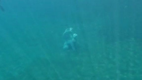 Asombrosas esculturas sumergidas en el Lago Moquehue