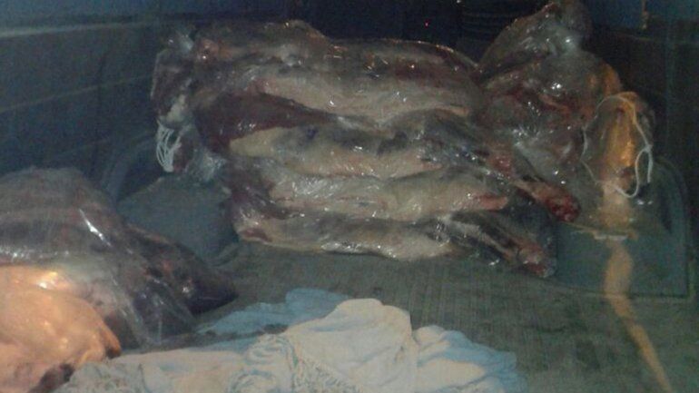 Decomisaron 1.500 kilos de carne de La Pampa que iba a ser comercializada en Neuquén