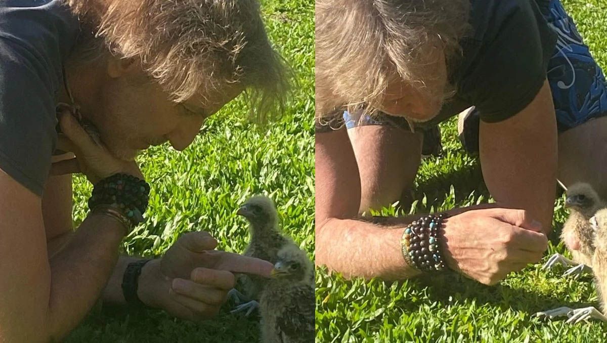 Facundo Arana mostró los pichones que está criando en su jardín
