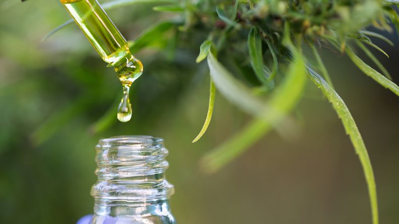 Elaboración de productos medicinales a base de cannabis