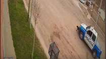 denuncian que un patrullero atropello, mato y dejo tirada a una perrita en neuquen