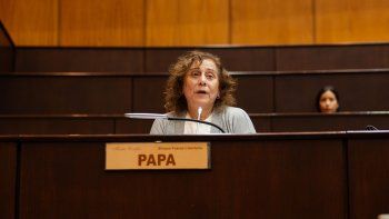 María Cecilia Papa integrará un nuevo bloque en la Legislatura. María Cecilia Papa integrará un nuevo bloque en la Legislatura.