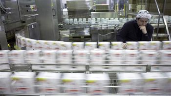 otra gigante lactea con numeros en rojo y reportes con perdidas millonarias otra gigante lactea con numeros en rojo y reportes con perdidas millonarias