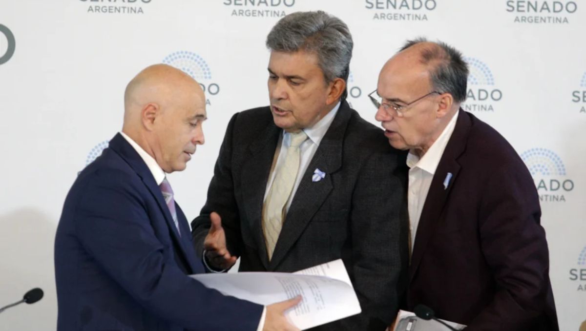 Plenario de comisiones que analiza la Ley Bases en el salón Azul del Senado. Foto NA: DAMIAN DOPACIO.