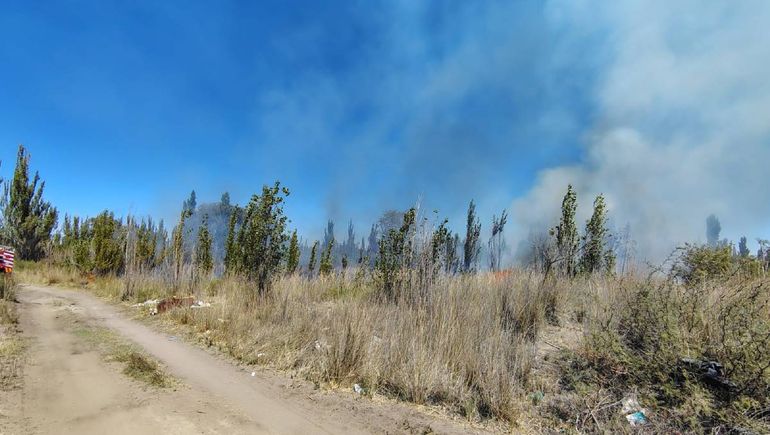 Las llamas afectaron más de dos hectáreas.