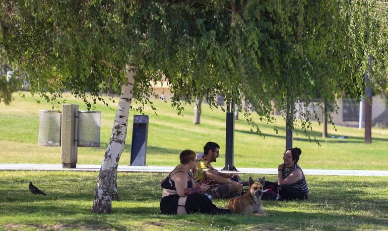 ¿Cuándo baja el calor? El pronóstico para este fin de semana en Neuquén