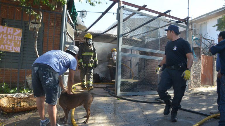 Se quemó la habitación de su nieto pero el perro alcanzó a salvarse de milagro