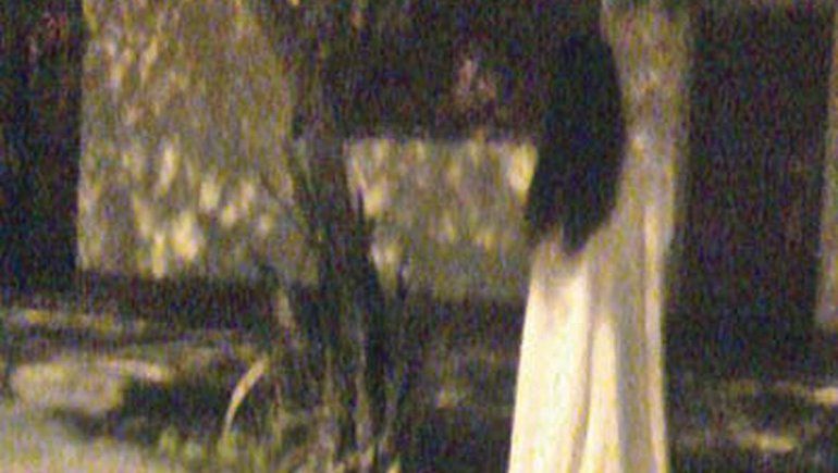 El video genera reacciones en TikTok | Imagen referencial