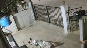 El mono atacó de manera imprevista a la anciana en el patio de la casa de la víctima. | LM Neuquen El mono atacó de manera imprevista a la anciana en el patio de la casa de la víctima.