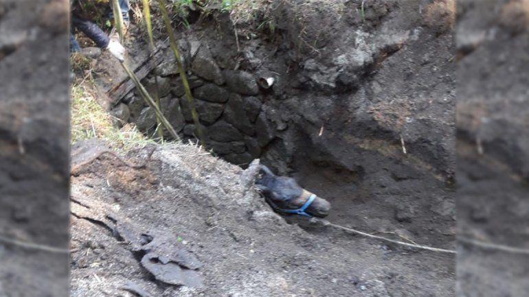 Rescataron a un caballo que se había caído a un pozo ciego