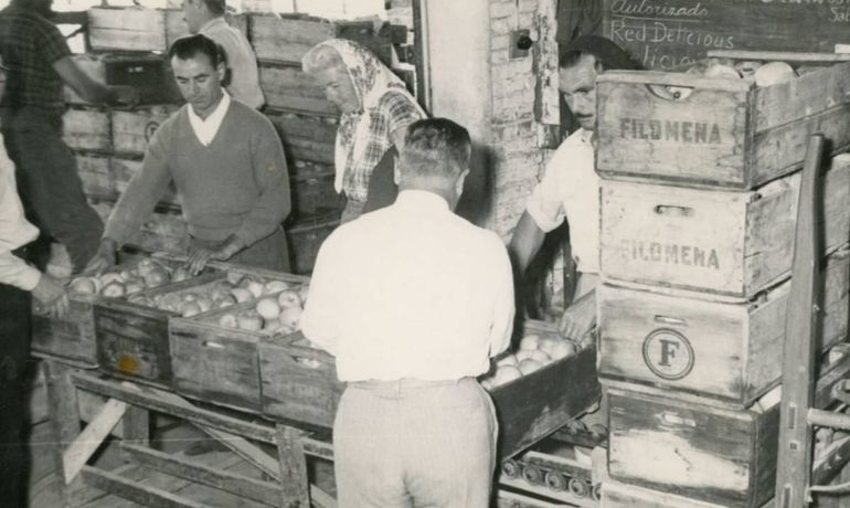 Trabajadores de un galpón de empaque. Foto archivo. Trabajadores de un galpón de empaque. Foto archivo.