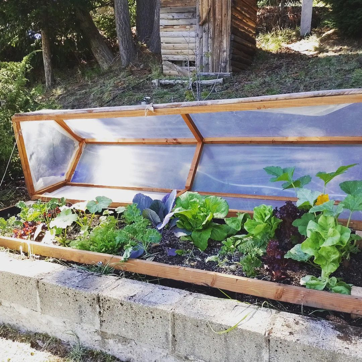 Junio es el mes que ofrece la oportunidad de volver a sembrar y agrandar la huerta. Junio es el mes que ofrece la oportunidad de volver a sembrar y agrandar la huerta.