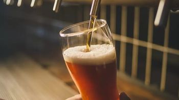 investigadores del conicet buscan elaborar cervezas con beneficios para la salud investigadores del conicet buscan elaborar cervezas con beneficios para la salud