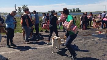 Saquearon la carga de cerveza de un camionero de Comodoro Rivadavia que volcó. Saquearon la carga de cerveza de un camionero de Comodoro Rivadavia que volcó.