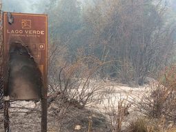 El incendio forestal afectó varias hectáreas en el Parque Nacional Los Alerces. El incendio forestal afectó varias hectáreas en el Parque Nacional Los Alerces.