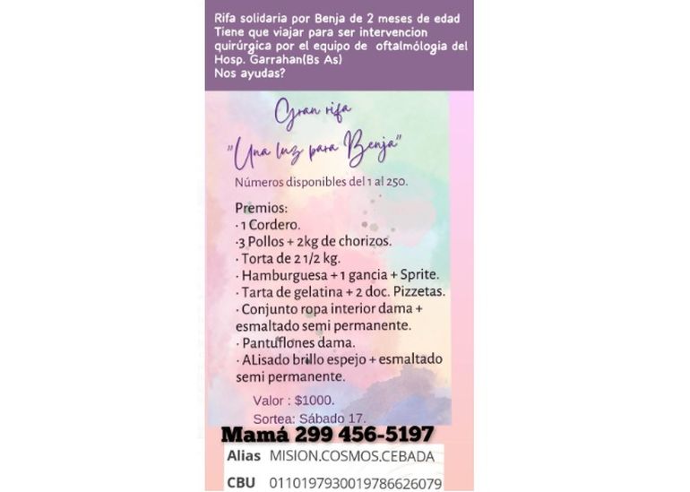 El aviso que publicó Nanci en las redes para promocionar su rifa solidaria.
