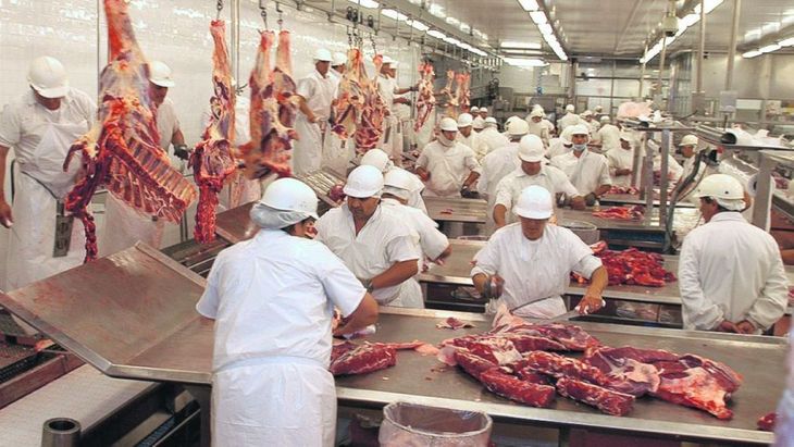 La menor oferta ganadera sigue impactando en la faena y la producción, pero la mejora en los pesos de faena contribuye a sostener los volúmenes de carne obtenidos por la industria. La menor oferta ganadera sigue impactando en la faena y la producción, pero la mejora en los pesos de faena contribuye a sostener los volúmenes de carne obtenidos por la industria.